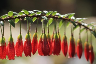 佛山高明区1私人快速借钱网，轻松解决资金难题