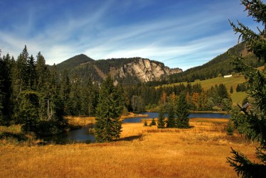 佛山高明区1民间私贷攻略：揭秘低成本借贷的秘密