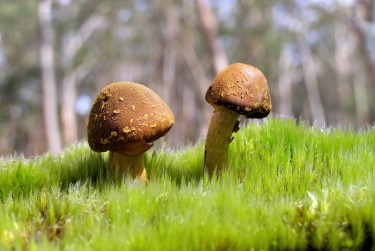 佛山高明区1私人老板放款：轻松融资的秘密通道